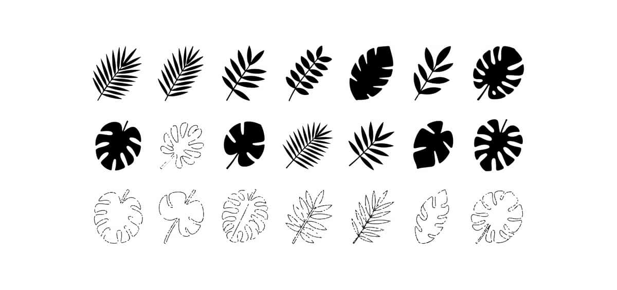 Tropik barglar to'plami | Tropical leaves collection 1