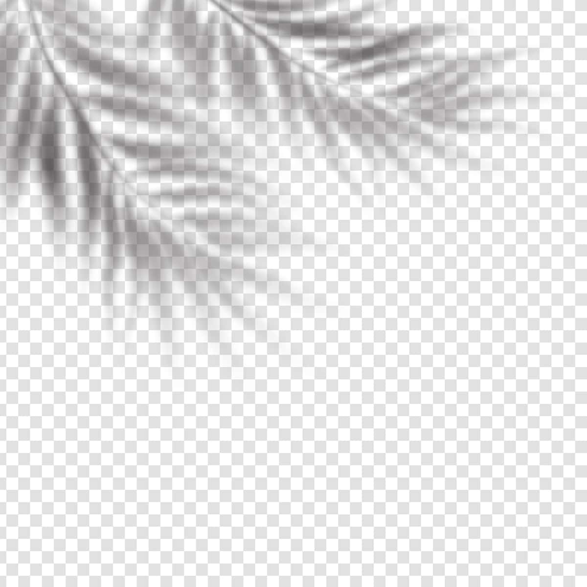 Haqiqiy palma bargi soyasi effekti | Realistic palm leaf shadow overlay effect 1