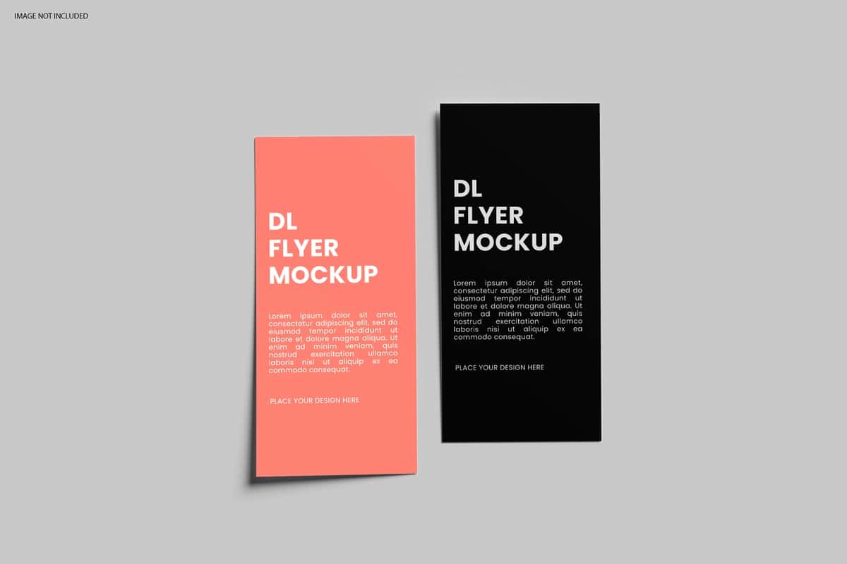 Ikki vertikal varaqali Dl flayer maketi taqdimoti | Dl flyer mockup presentation with two vertical leaflets 1