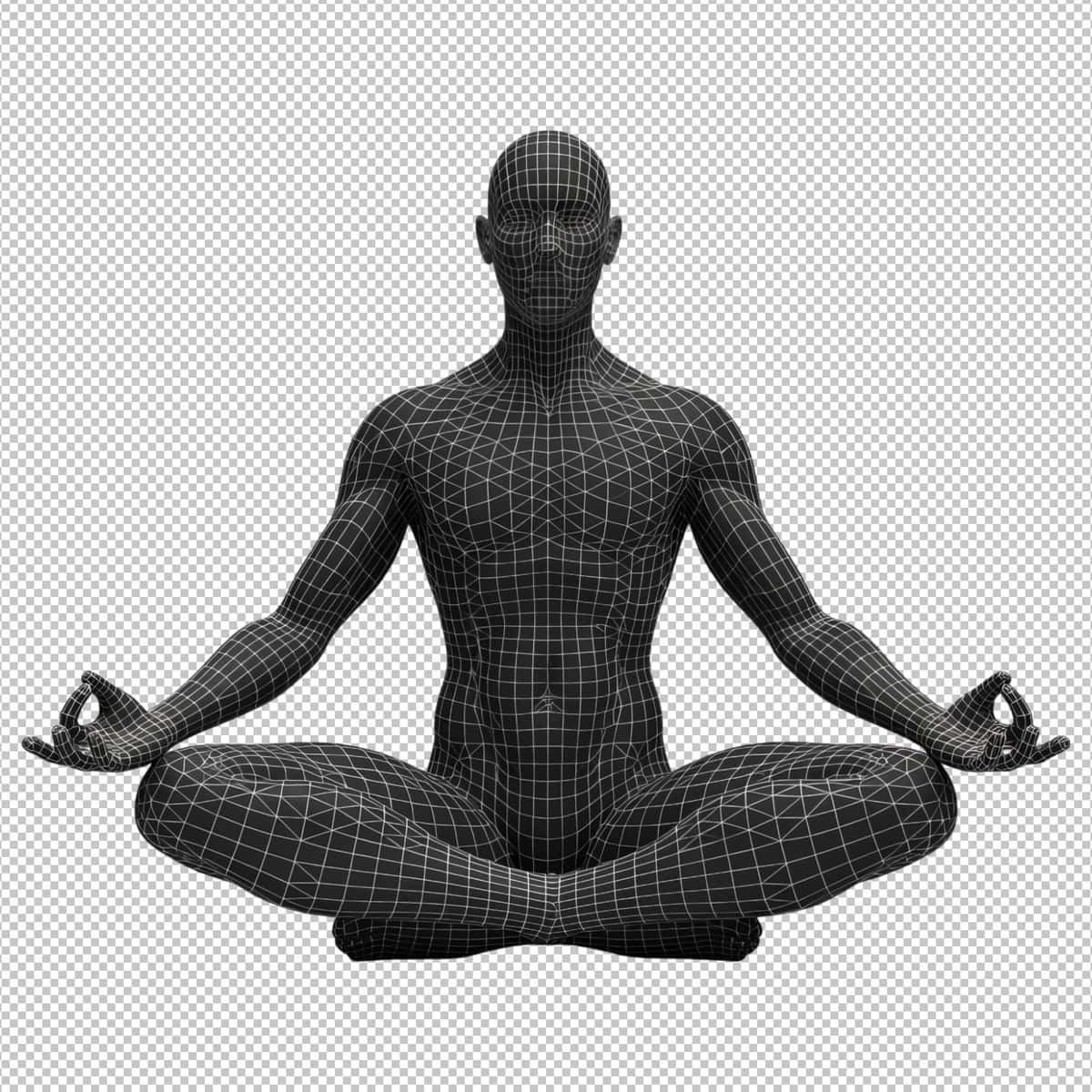 Lotus pozasida meditatsiya qilayotgan 3D simli ramka inson modeli | 3d wireframe human model meditating lotus pose 1