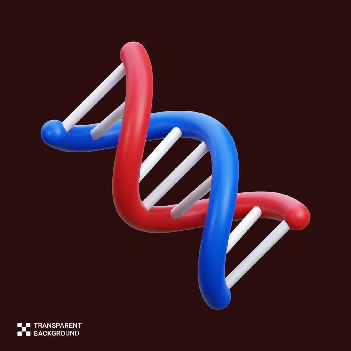 Psd 3d render DNK qo'sh spiral qizil ko'k | Psd 3d render dna double helix red blue 1