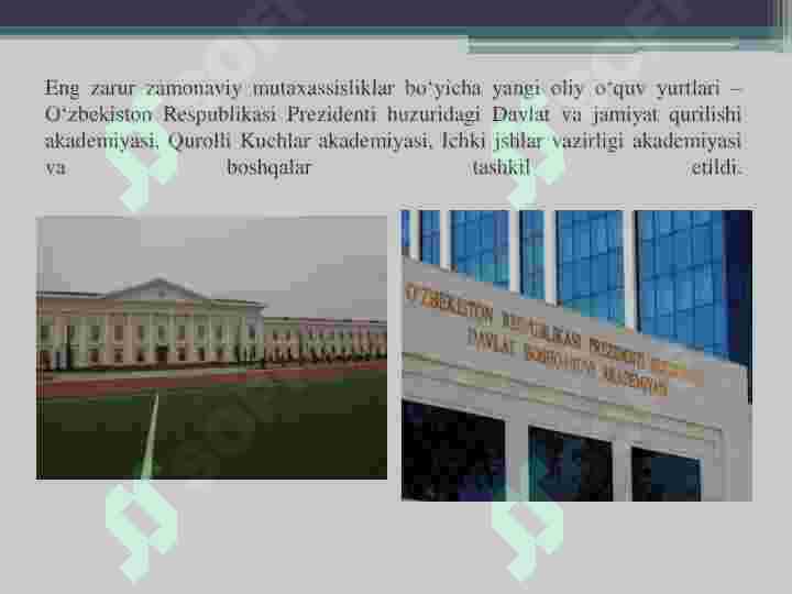 Preview 6
