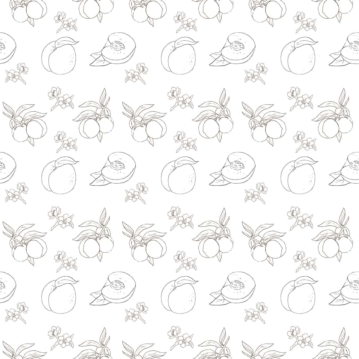 Oq fon qalamli mevali sabzavotlar to'plami | Collection fruits vegetables with pencil white background 1