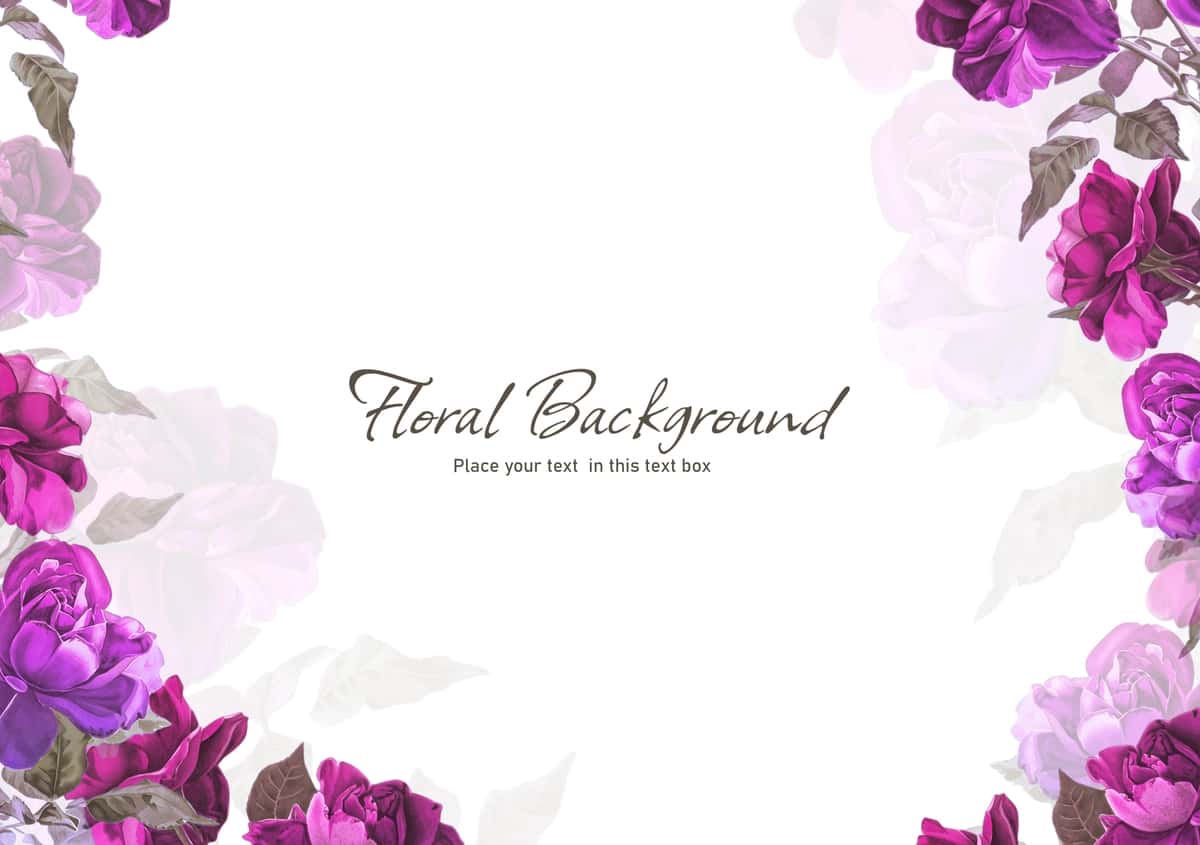 Binafsha pushti binafsha atirgulli oqlangan gulli fon | Elegant floral background with roses purple pink violet 1