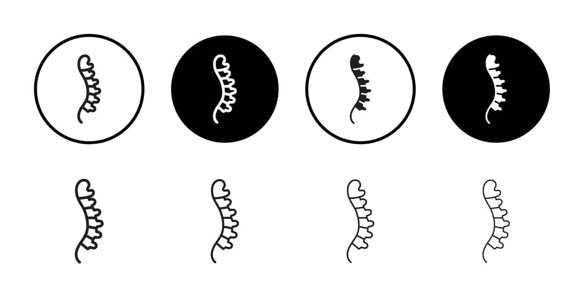 Orqa miya piktogramma kontur belgisi | Spine icon outline set sign 1