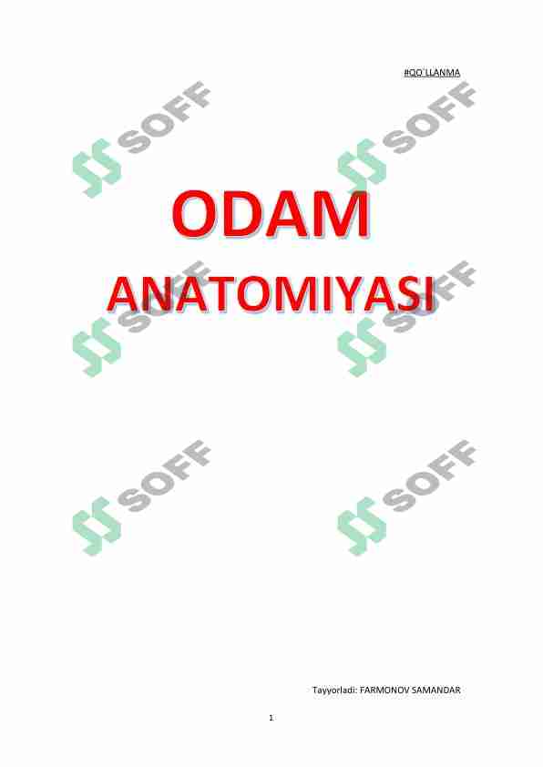 Odam anatomiyasi 1