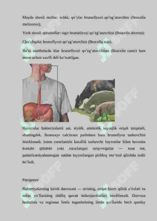 Preview 5