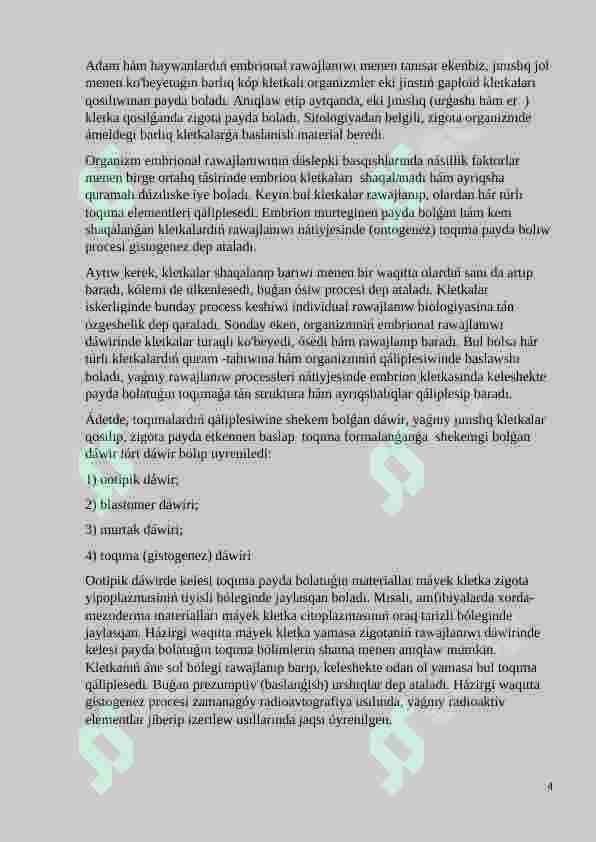 Preview 4