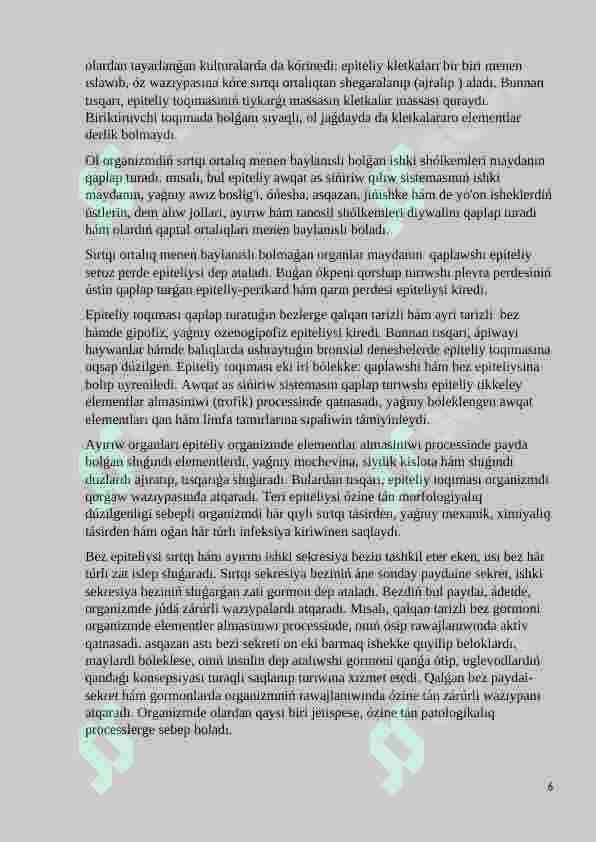 Preview 6