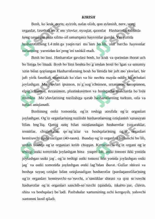 Hashorotlar 2