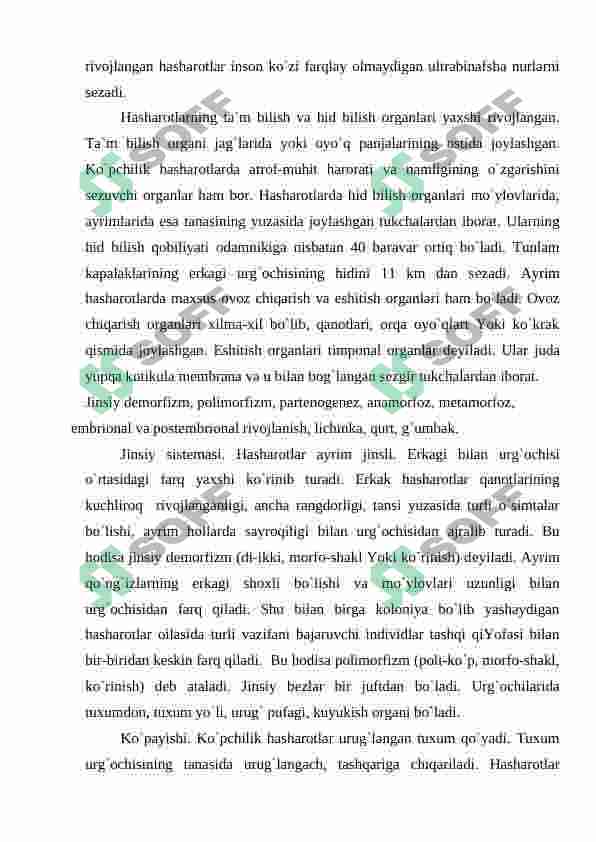 Hashorotlar 6