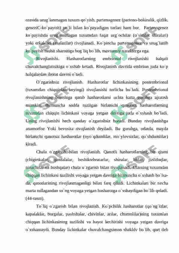 Hashorotlar 7