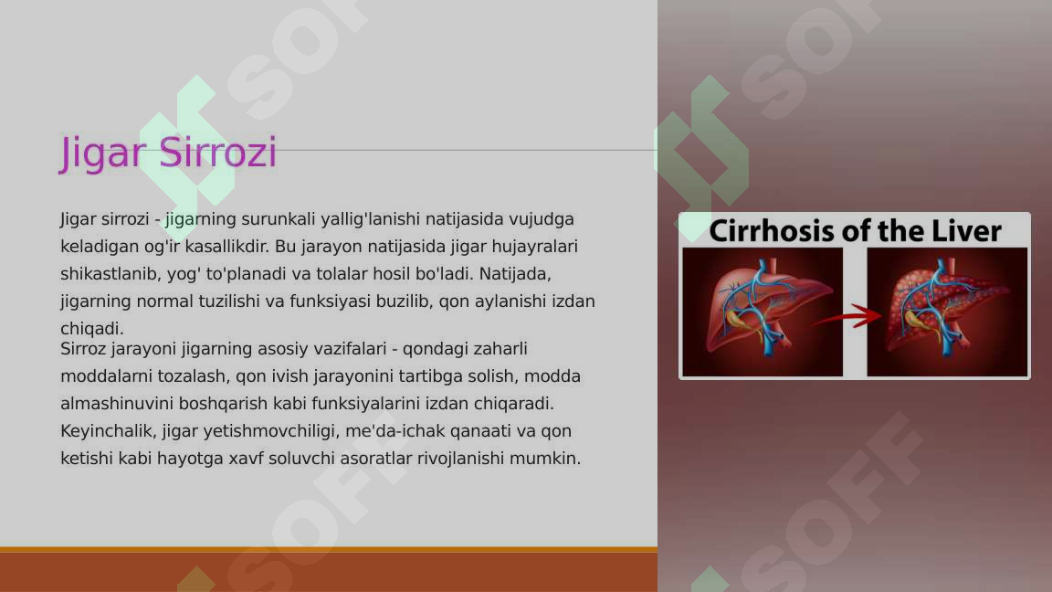Preview 7