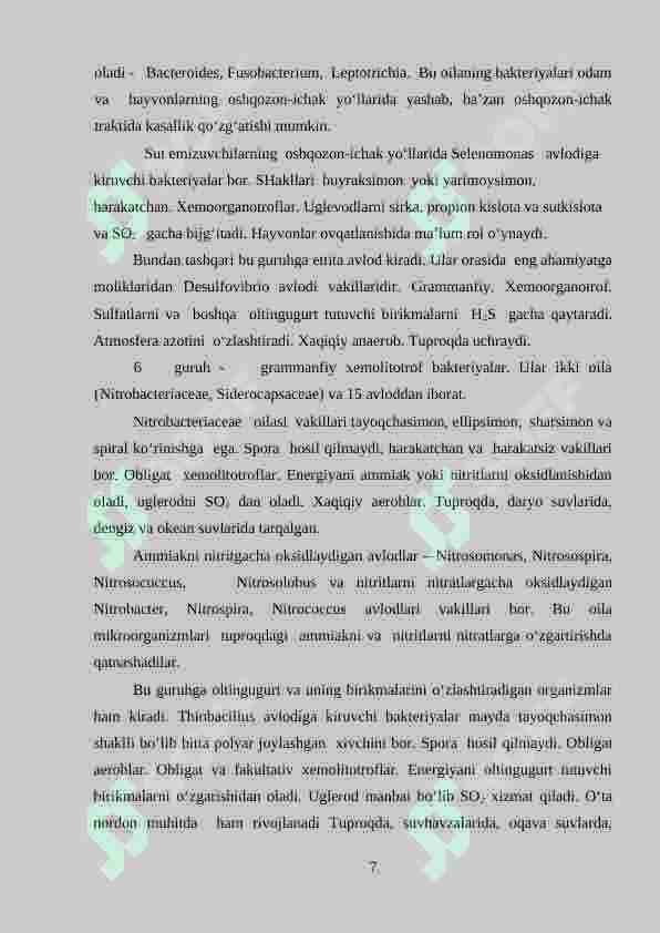 Preview 7