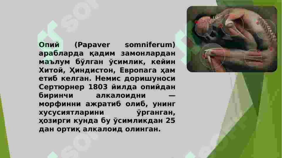 Preview 5