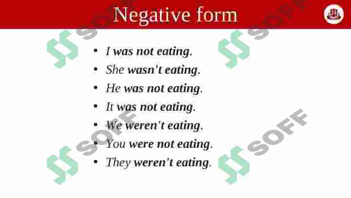 Past Continuous Tense 8