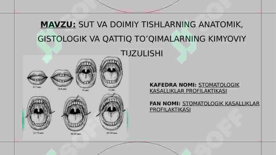 SUT VA DOIMIY TISHLARNING ANATOMIK, GISTOLOGIK VA QATTIQ TO’QIMALARNING KIMYOVIY TUZULISHI 2