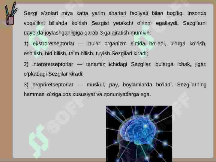 Sezgi 6