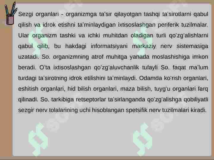 Sezgi 7