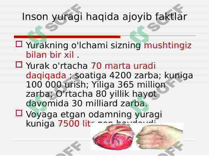 Inson yuragi 3
