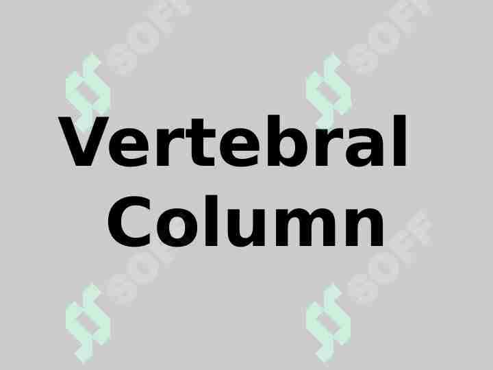 Vertebral Column