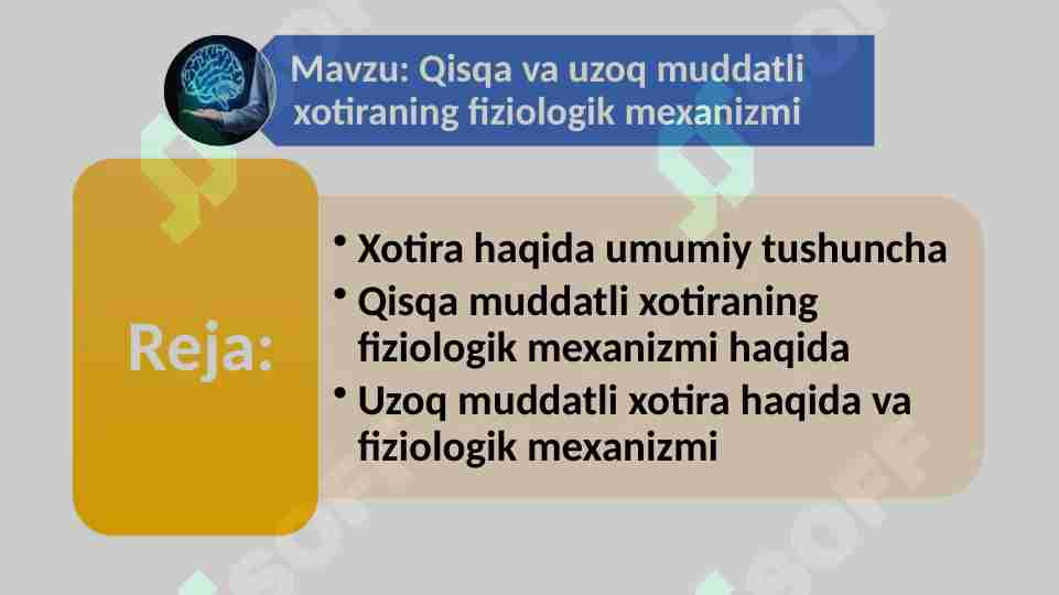 Qisqa va uzoq muddatli xotiraning fiziologik mexanizmi