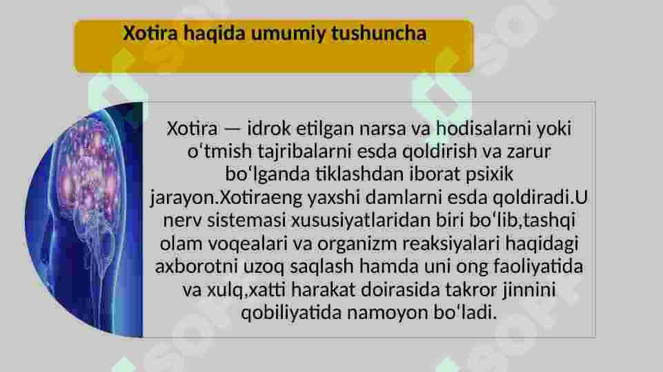 Qisqa va uzoq muddatli xotiraning fiziologik mexanizmi 2
