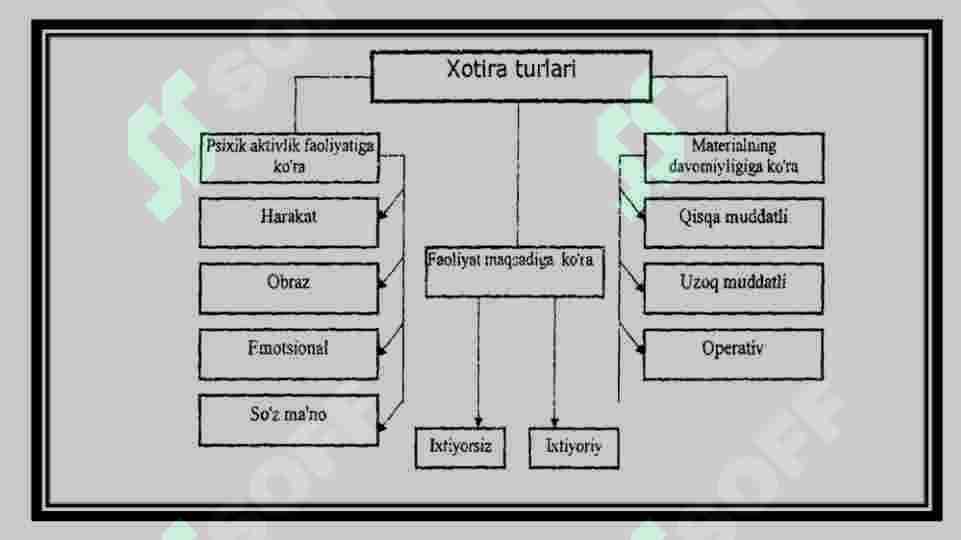 Qisqa va uzoq muddatli xotiraning fiziologik mexanizmi 4