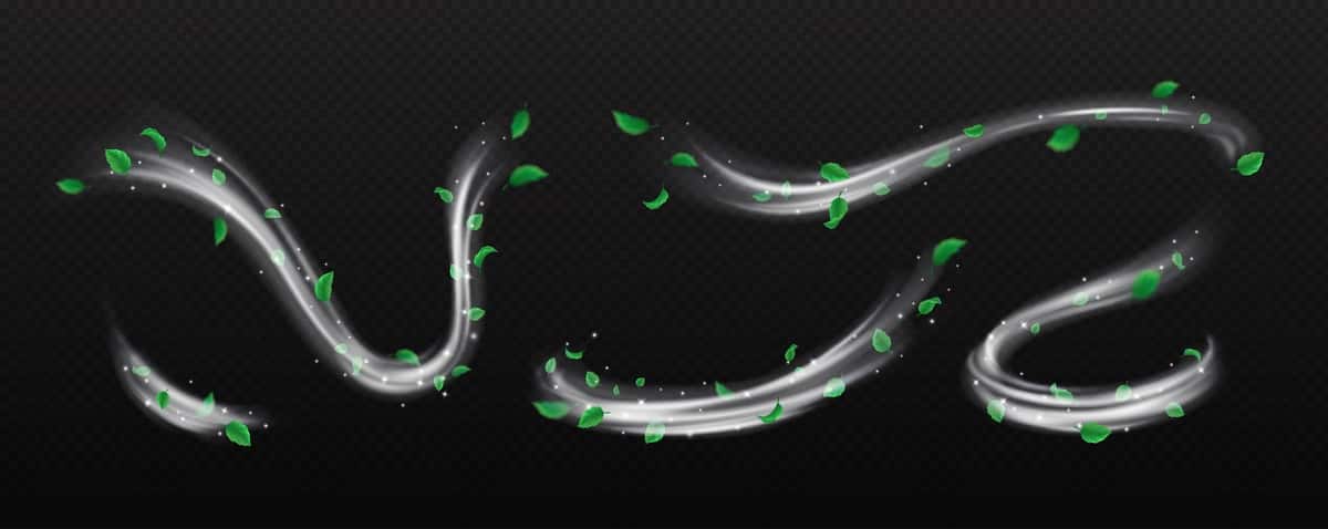 Kumush changli mayda barglar aylanma vektorli illyustratsiya to'plami | Silver dust small leaves whirls vector illustration set 1