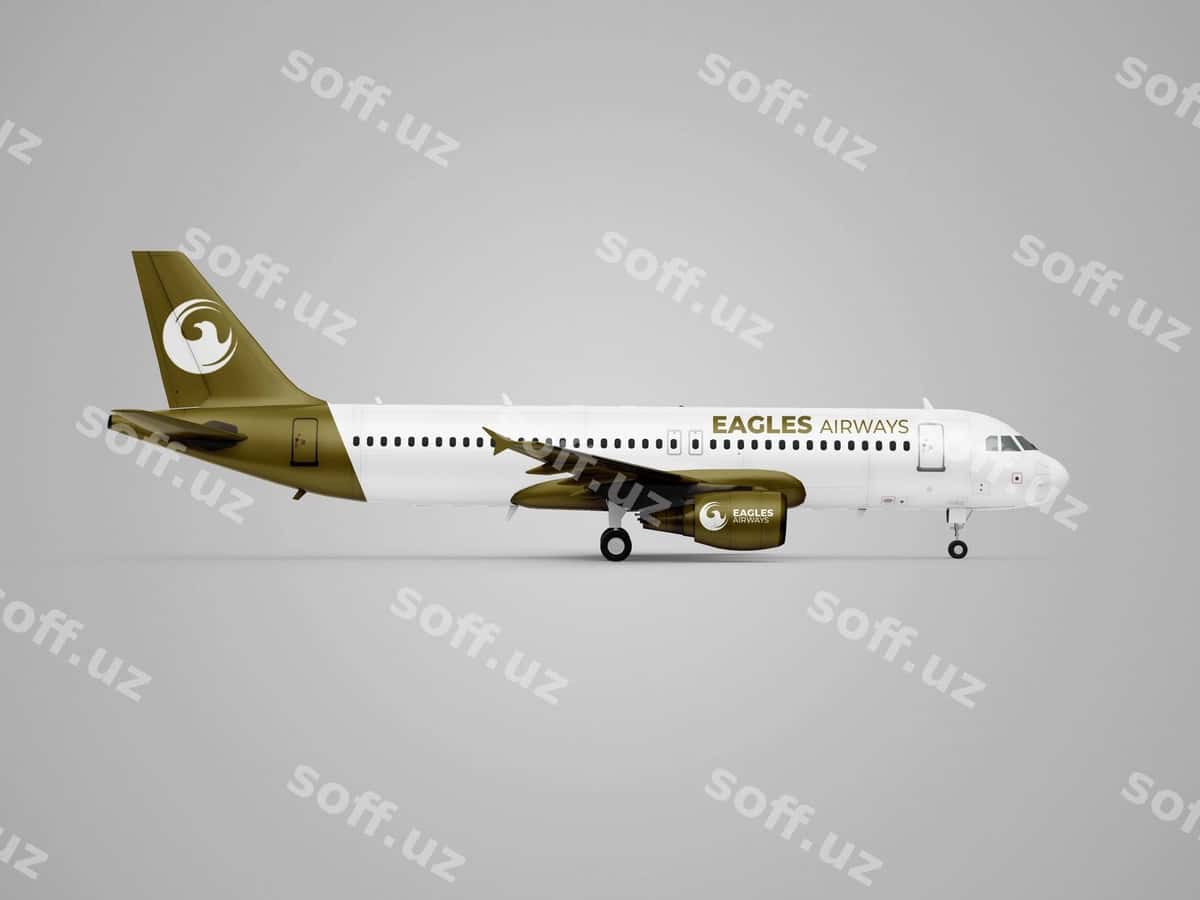 Samolyot maketi | Airplane mockup 1