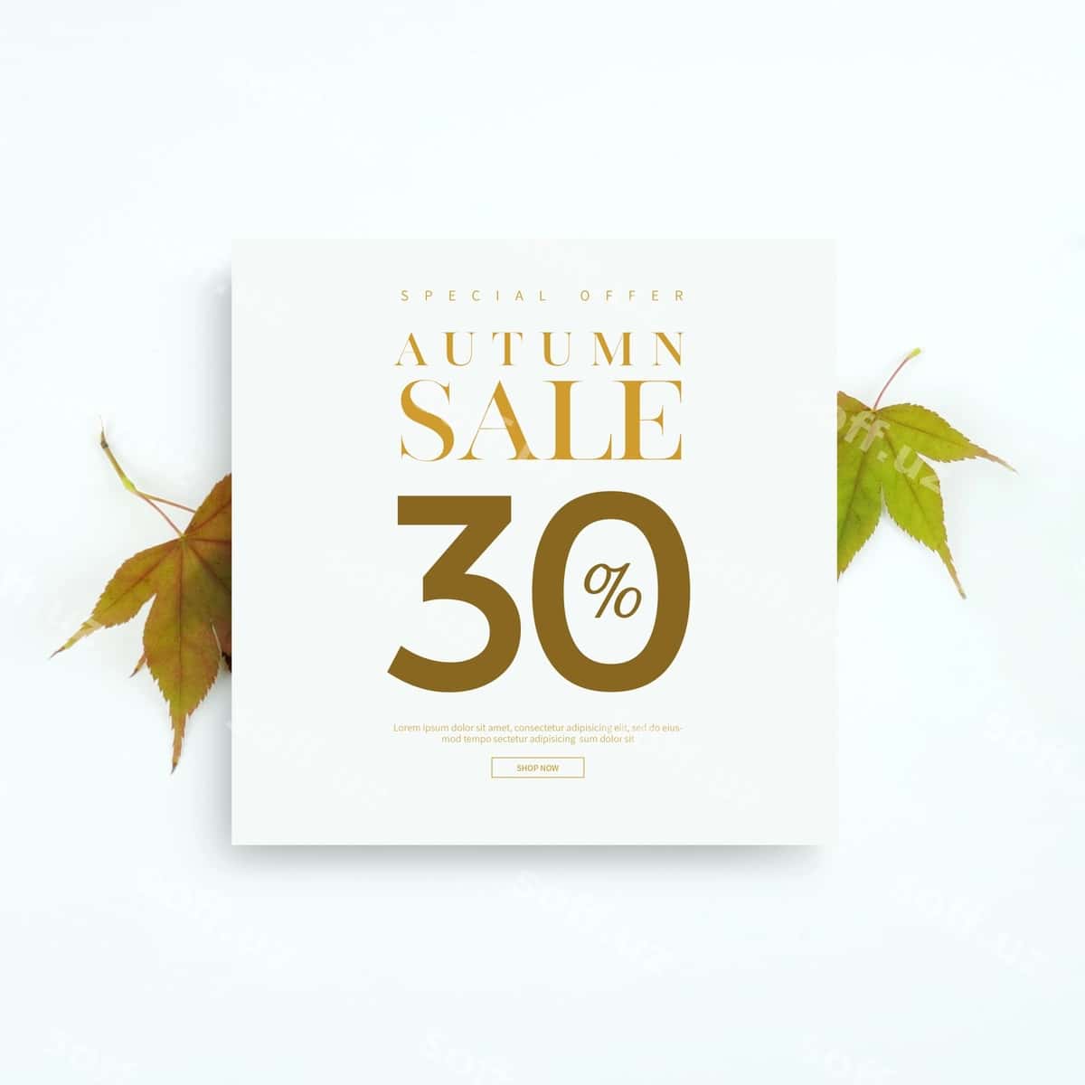 Kuz chegirma banner kartochkasi | Autumn sale banner card 1