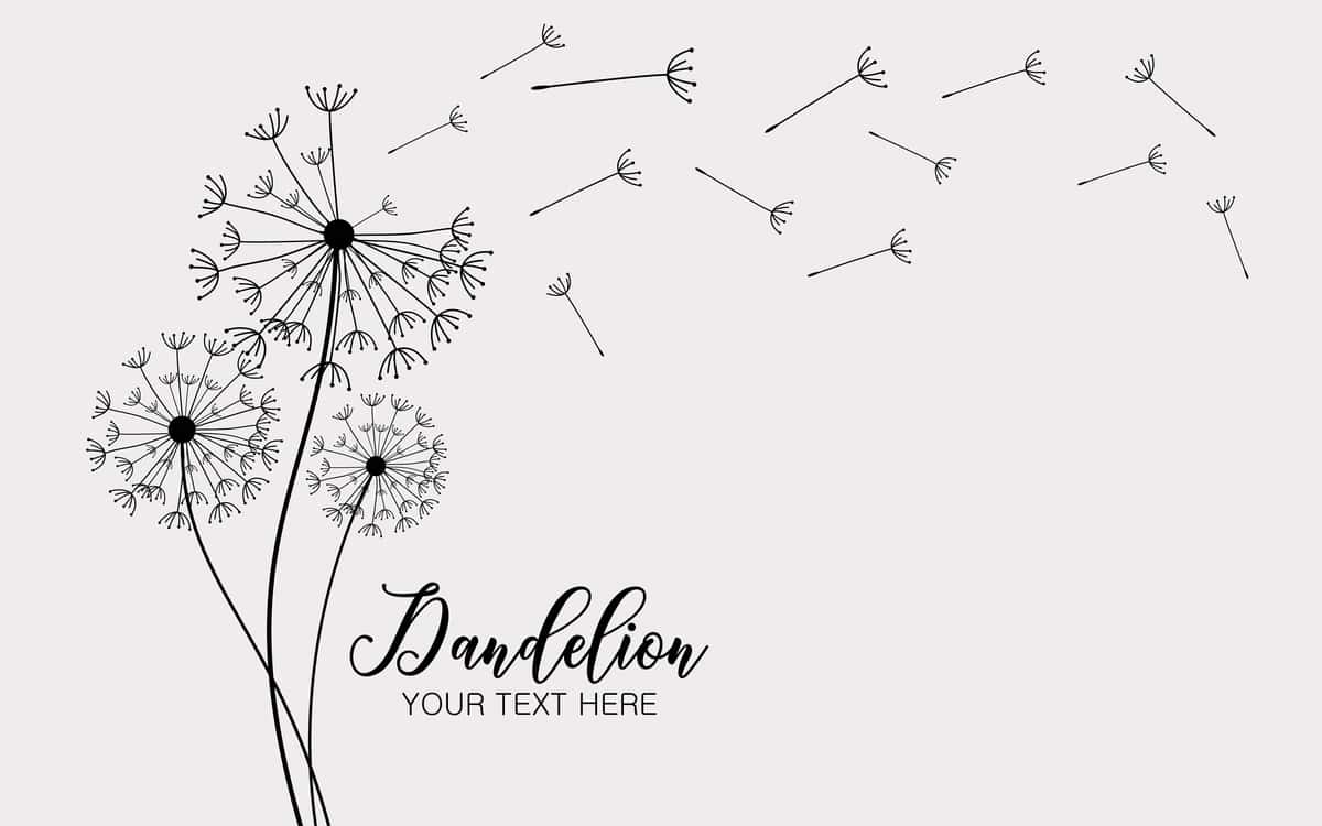 Abstrakt fon karahindiba dizayni shamol urug'larni uchirib yuboradi karahindiba | Abstract background dandelion design wind blows seeds dandelion 1