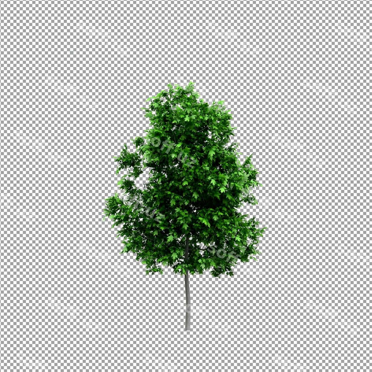 Chiroyli shoir 3d renderizatsiyasi, ajralangan | Beautiful plant 3d rendering isolated 1