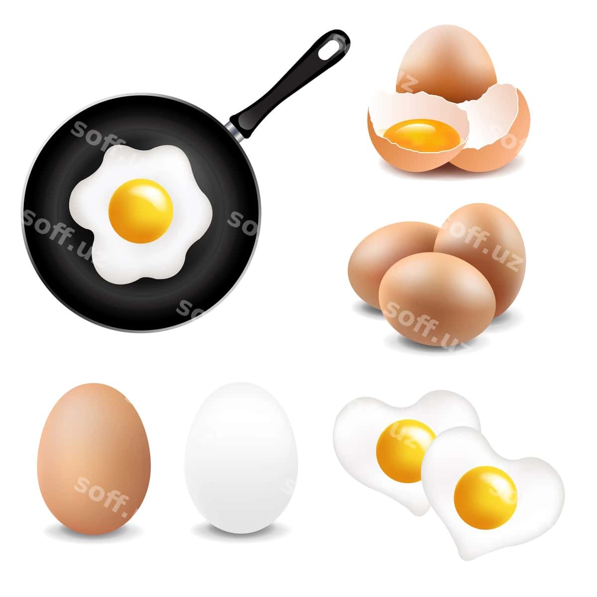 Katta tuxumlar to'plami oq fon | Big eggs collection white background 1