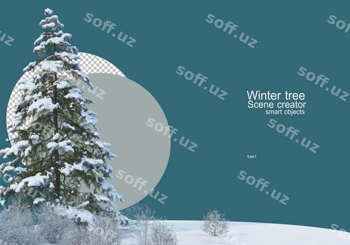 Katta daraxt meadow qish | Big tree meadow winter 1