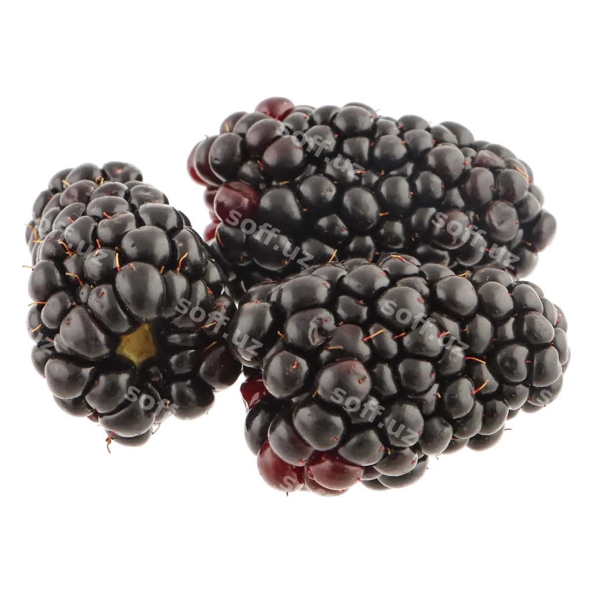 Blackberry oq orqa fon | Blackberry white background 1