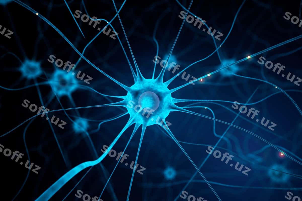 Ko'k neuron | Blue nerve cell 1