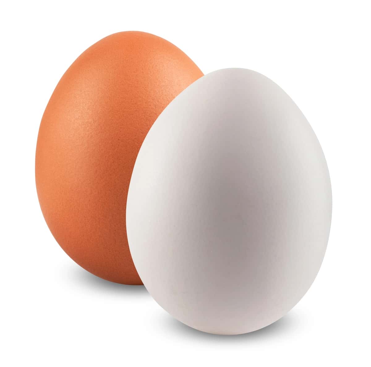 Tovuq tuxumlari oq izolyatsiya qilingan | Chicken eggs isolated white 1