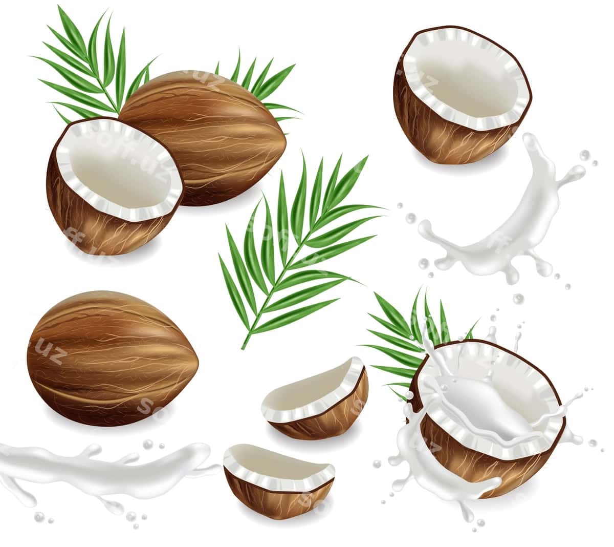 Kokos suvi bilan to'ldirilgan | Coconuts with splash collection 1