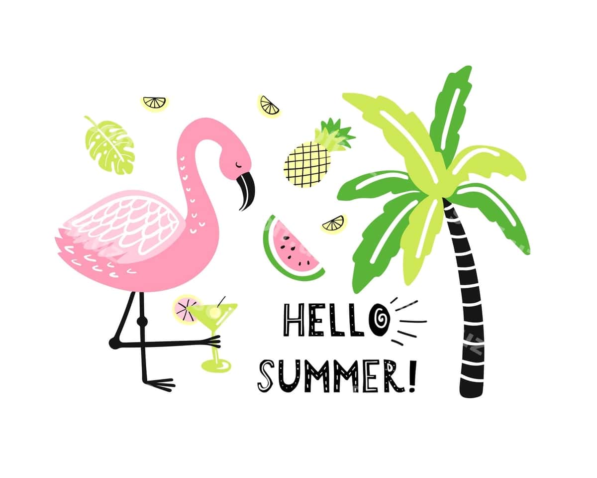 Yoqimli flamingo palm tarvuz ananas | Cute flamingo palm watermelon pineapple 1