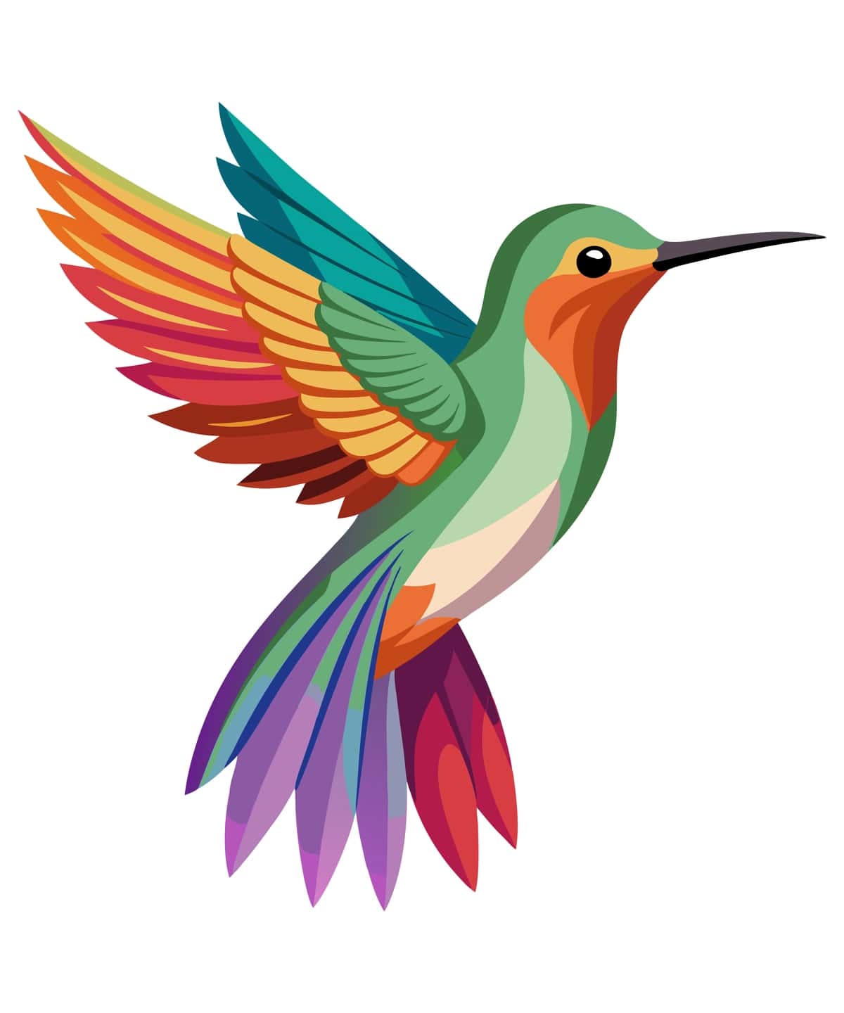 Hummingbird qo'lda chizilgan vektor tasviri uchib | Hummingbird hand drawn vector illustration flying 1