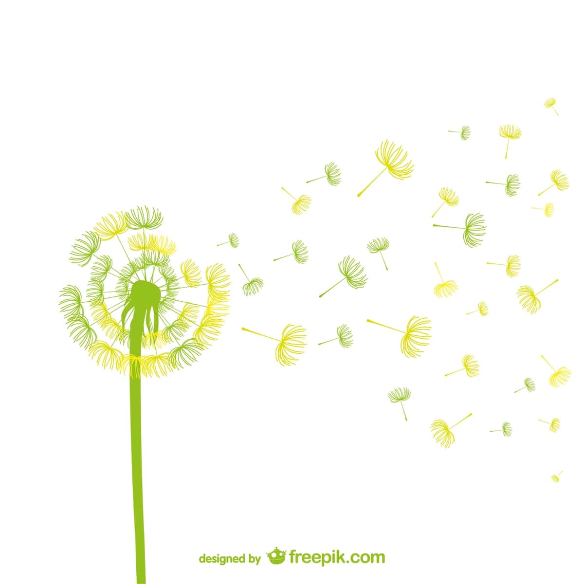 Yashil sariq karahindiba vektori | Green yellow dandelion vector 1