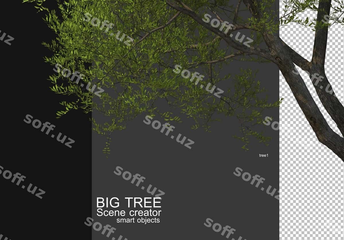 Ko'rsatish katta daraxt oldi fonda rendering | Display large tree foreground rendering 1