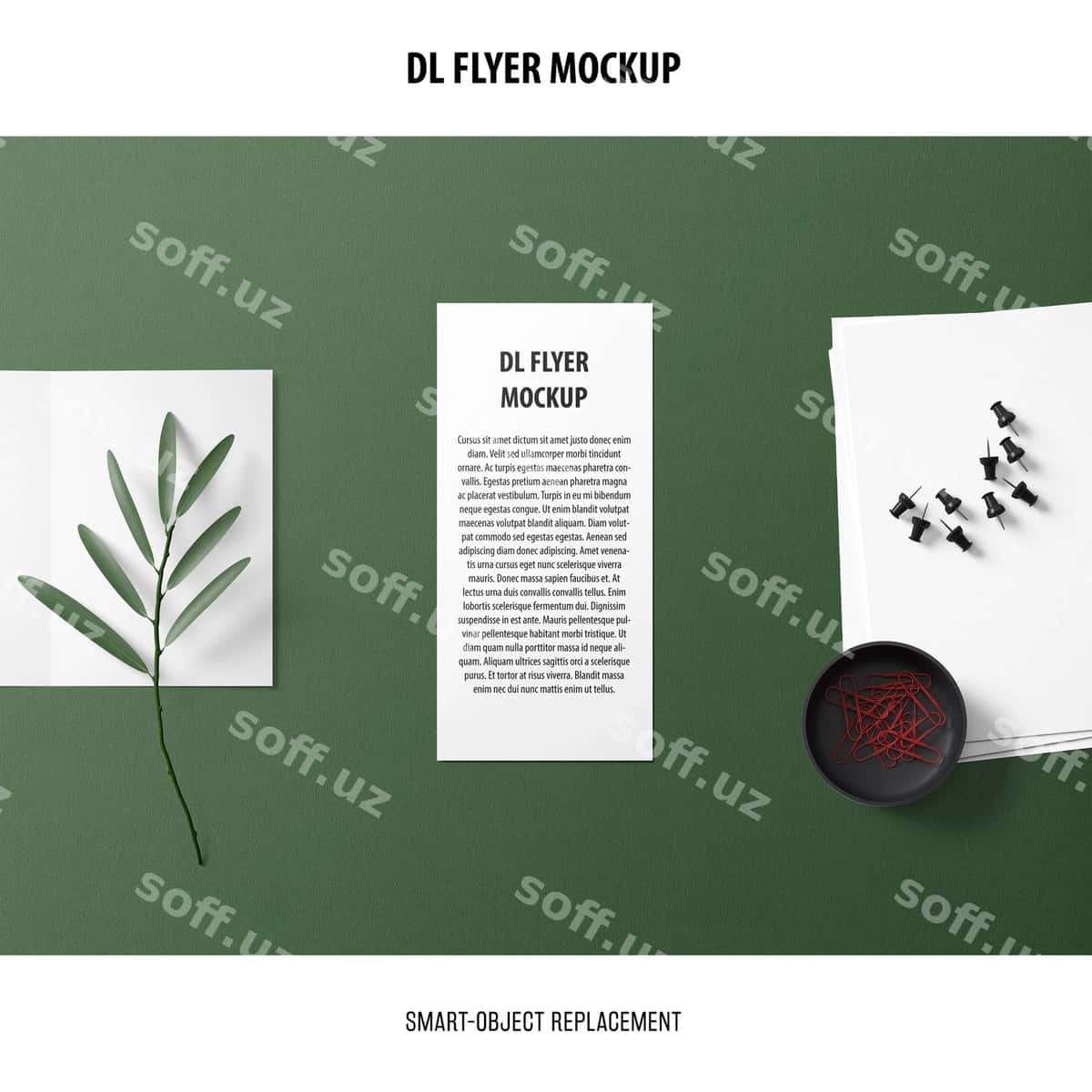 DL flyer namunasi | Dl flyer mockup 1