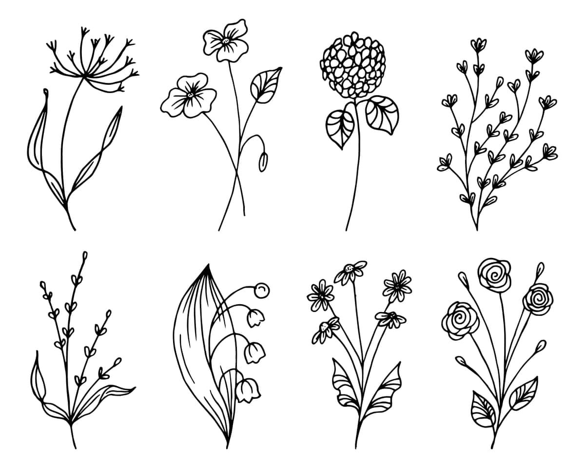 Oq fonda botanika chizmalarini qo'lda chizilgan yovvoyi gullarning konturini o'rnating | Set botanical doodles hand drawn outline wildflowers white background 1