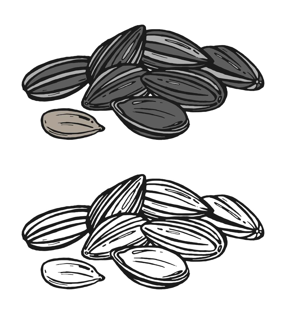 Grafik kungaboqar urug'lari qo'lda chizilgan kungaboqar urug'lari rang konturini o'rnating | Set graphic sunflower seeds hand drawn sunflower seeds color outline 1
