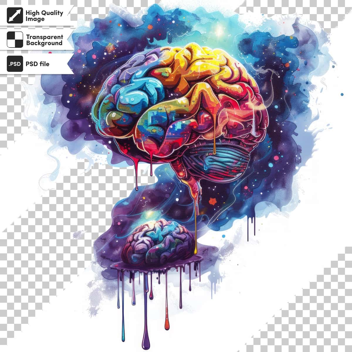 Miyani so'zlar bilan tasvirlang | Picture brain with words brain it 1