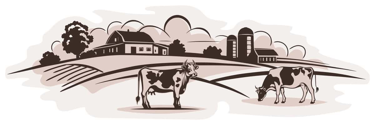 O'tloq fonida qishloq landshaftini o'tlayotgan sigirlarning eskizini | Sketch cows grazing meadow background rural landscape 1