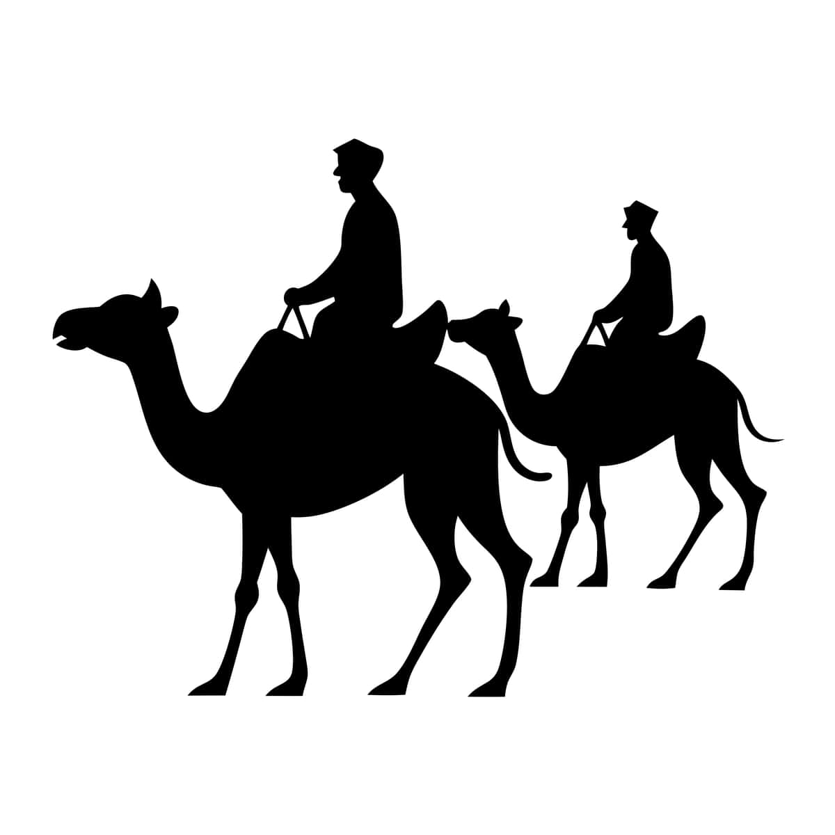 Shlyapa bilan tuya minayotgan odam | Man riding camel with hat it 1