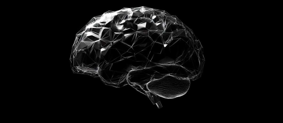 Ramkali miya | Wireframe brain 1